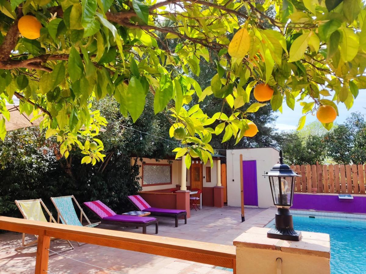 El Grifo Appartement